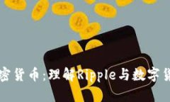 瑞波谈加密货币：理解Ripple与数字货币的未来