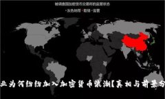 企业为何纷纷加入加密货币浪潮？真相与前景分
