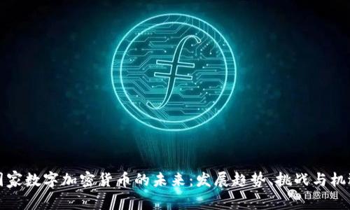 国家数字加密货币的未来：发展趋势、挑战与机遇