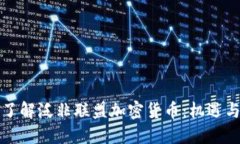 全面了解泛非联盟加密货币：机遇与挑战