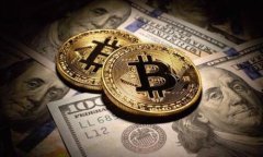 加密货币全球参与者：揭秘比特币与区块链背后