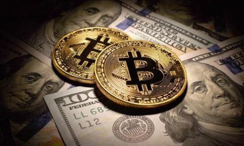 

加密货币全球参与者：揭秘比特币与区块链背后的多元生态