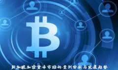 新加坡加密货币市场的案例分析与发展趋势