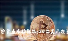2023年加密货币市场概况：30亿美元投资潜力解读