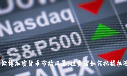 2023年微博加密货币市场风暴：投资者如何把握机遇与风险
