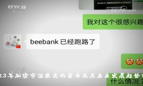 2023年加密市值最高的货币及其未来发展趋势分析