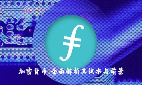 加密货币：全面解析其试水与前景
