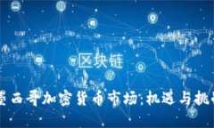 墨西哥加密货币市场：机遇与挑战