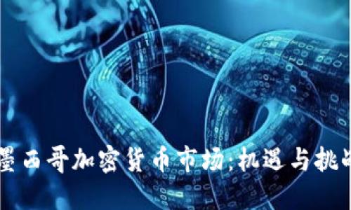 墨西哥加密货币市场：机遇与挑战