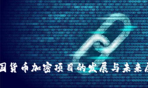 中国货币加密项目的发展与未来展望