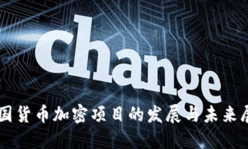 中国货币加密项目的发展与未来展望