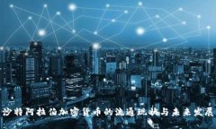 沙特阿拉伯加密货币的流通现状与未来发展