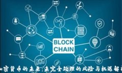加密货币的未来：未完全处理的风险与机遇解析