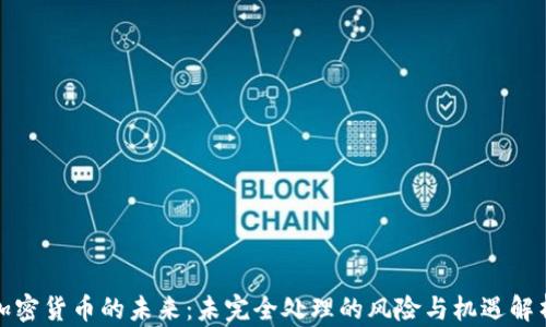 
加密货币的未来：未完全处理的风险与机遇解析