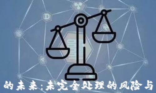 
加密货币的未来：未完全处理的风险与机遇解析