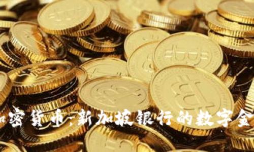 DBS 加密货币：新加坡银行的数字金融先锋